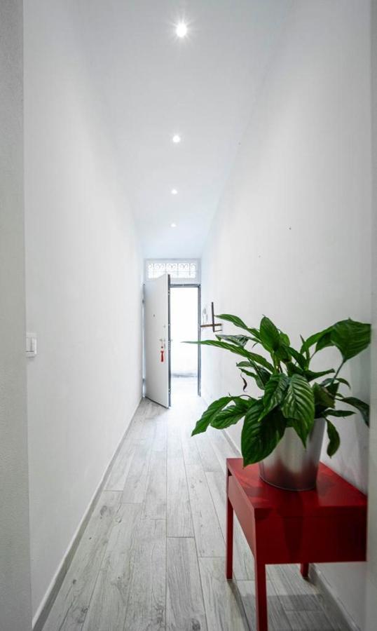 Апартаменты Puccinotti House Флоренция Экстерьер фото